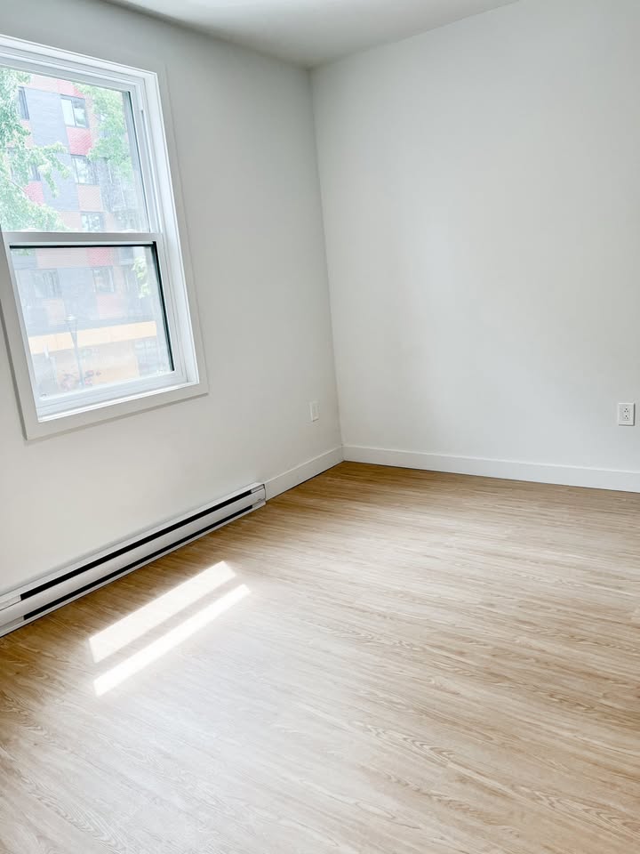 3769 Sainte Catherine image 3